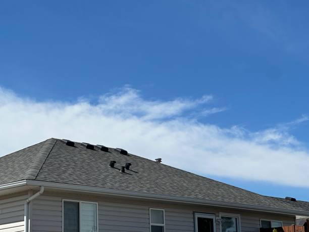 Best Storm Damage Roof Repair  in Linden, AZ